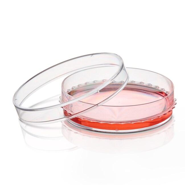 Чашка культуральна biolite діаметром 60 мм з поверхнею росту 21.5 см² стерильна